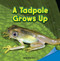 A Tadpole Grows Up by Annabelle Gold, 9781448889839