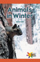 Animals in Winter - 9780823963492 by Jane Snyder, 9780823963492