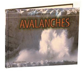 Avalanches - 9780823952830 by Michele Ingber Drohan, 9780823952830