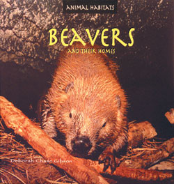 Beavers and Their Homes by Deborah Chase Gibson, 9780823953073