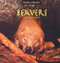 Beavers and Their Homes by Deborah Chase Gibson, 9780823953073