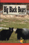 Big Black Bears by Greg Roza, 9780823981007