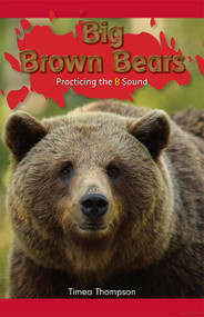Big Brown Bears (Practicing the B Sound) by Timea Thompson, 9781508132547