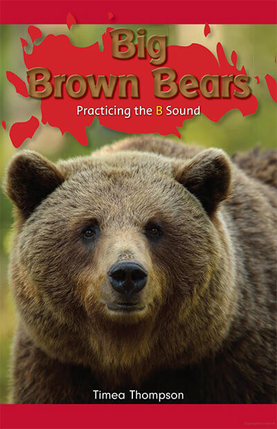 Big Brown Bears (Practicing the B Sound) by Timea Thompson, 9781508132547
