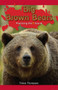 Big Brown Bears (Practicing the B Sound) by Timea Thompson, 9781508132547