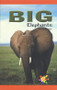 Big Elephants by Shelby Braidich, 9780823981014