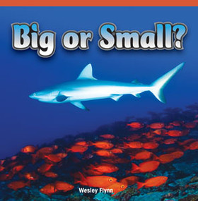 Big or Small? - 9781448886401 by Wesley Flynn, 9781448886401