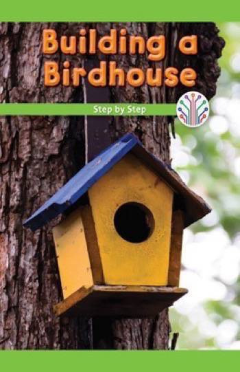 Building a Birdhouse (Step by Step) by Emiliya King, 9781538352304