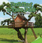 Building a Tree Fort (Measure Lengths in Standard Units) by Will Nelson, 9781477747827