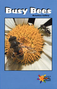 Busy Bees by Kristine Lalley, 9780823981328