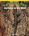Camouflage - 9781435801530 by Kennon O'Mara, 9781435801530