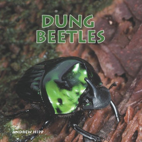 Dung Beetles - 9781404255685 by Andrew Hipp