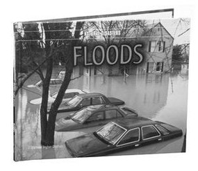 Floods - 9780823952885 by Michele Ingber Drohan, 9780823952885