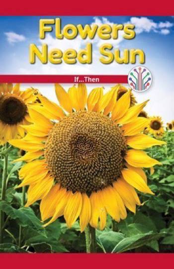Flowers Need Sun (If...Then) by Spencer Toole, 9781538351079