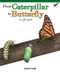 From Caterpillar to Butterfly: A Life Cycle by Autumn Leigh, 9781435802230