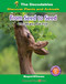 From Seed to Seed: The Mighty Oak Tree by Margaret Williamson, 9781684049004