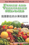 Fruit and Vegetables I Like to Eat: Chinese by , 9781508112228