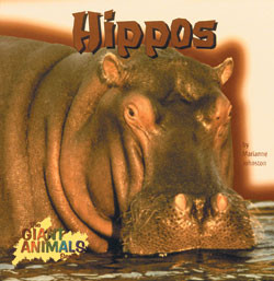 Hippos - 9780823951451 by Marianne Johnston, 9780823951451