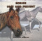 Horses: Past and Present - 9781404255661 by Marianne Johnston, 9781404255661