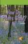 How Do Plants Grow? - 9780823981441 by Virgil Franklin, 9780823981441