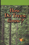 How Do Trees Grow? by Sharon McConnell, 9780823981366