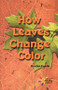 How Leaves Change Color by Christine Figorito, 9780823981540