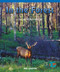 In the Forest (Learning Directional Concepts) by Janet Carson, 9780823976348