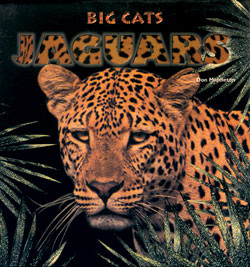 Jaguars - 9780823952106 by Don Middleton, 9780823952106