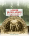 Labor Legislation by Katherine Lawrence, 9781404208513