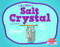 Let's Make a Salt Crystal - 9781684508402 by Katie Chanez, 9781684508402