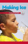 Making Ice (Checking Your Work) by Leona Fowler, 9781538350768