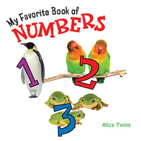 My Favorite Book of Numbers by Alice Twine, 9781404242562