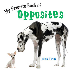 My Favorite Book of Opposites by Alice Twine, 9781404242579