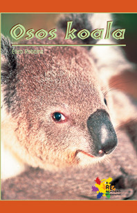Osos koala (Koala Bears) by Eliza Robbins, 9781404274815
