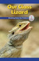 Our Class Lizard (Breaking Down the Problem) by Mitchell Allen, 9781538351406
