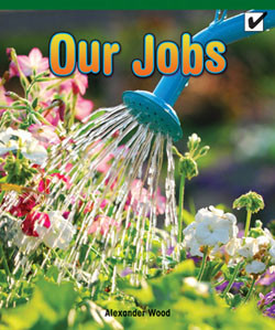 Our Jobs by Alix Wood, 9781404280113