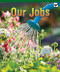 Our Jobs by Alix Wood, 9781404280113