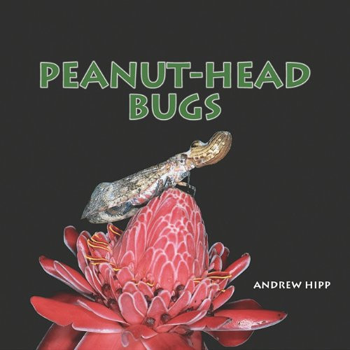 Peanut-Head Bugs - 9781404255692 by Andrew Hipp
