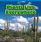 Plants Live Everywhere by Alley Herman, 9781448887972