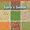 Sara's Seeds by Robin Stern, 9781448887132