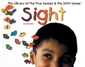 Sight - 9780823950553 by Sue Hurwitz, 9780823950553