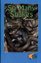 So Many Snakes by Chris Graham, 9780823981977