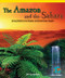 The Amazon and the Sahara (Using Double Line Graphs and Double Bar Graphs) by Orli Zuravicky, 9780823988686