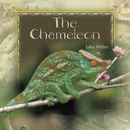 The Chameleon by Jake Miller, 9781404255739