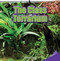 The Class Terrarium by Katelyn Cole, 9781477725832