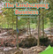 The Landscaping Business (Foundations for Multiplication) by Marie Allen, 9781477748541