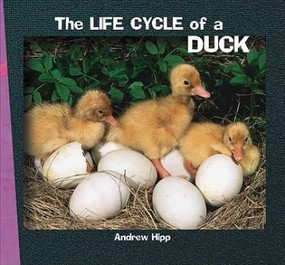 The Life Cycle of a Duck - 9781404255838 by Andrew Hipp, 9781404255838