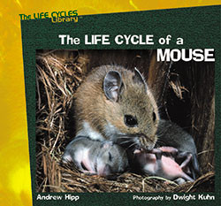 The Life Cycle of a Mouse - 9781404252035 by Andrew Hipp, 9781404252035