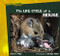 The Life Cycle of a Mouse - 9781404252035 by Andrew Hipp, 9781404252035