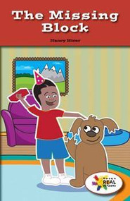 The Missing Block by Nancy Hicer, 9781499495546